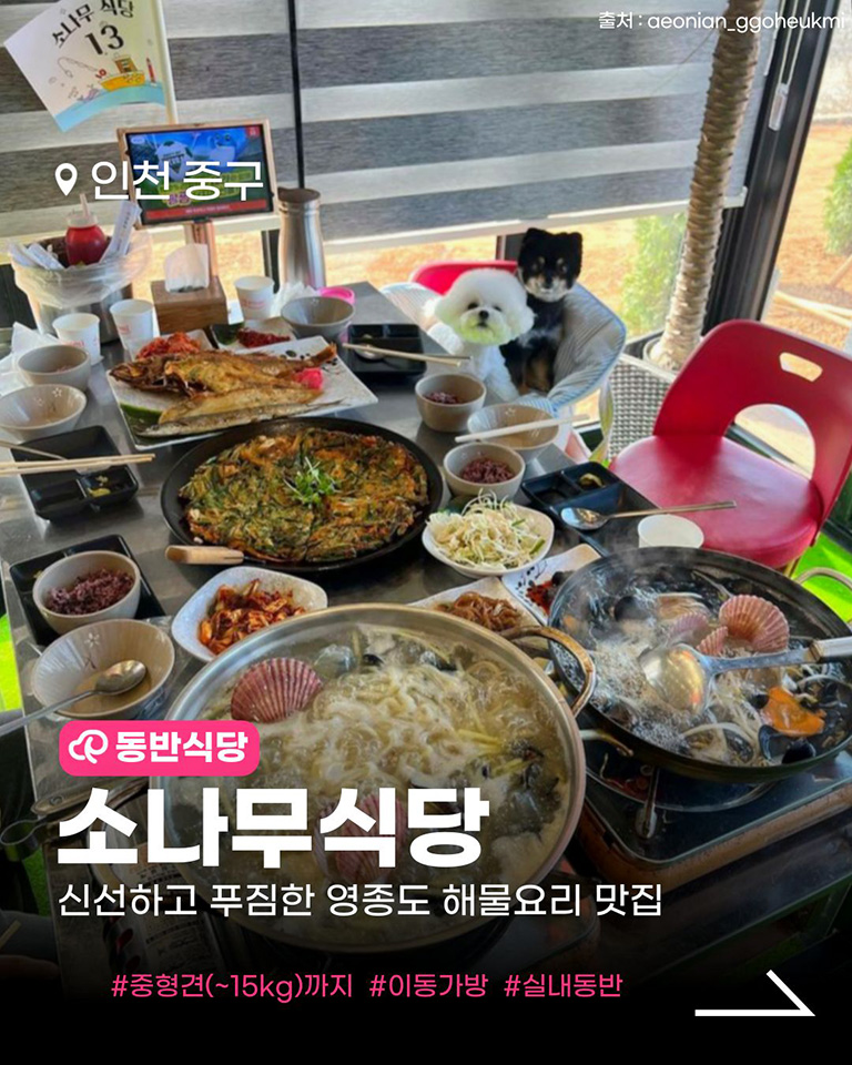 소나무식당