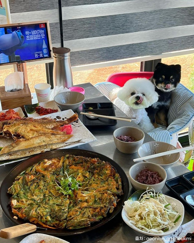 소나무식당
