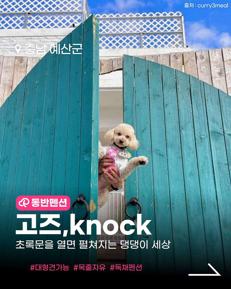 고즈knock