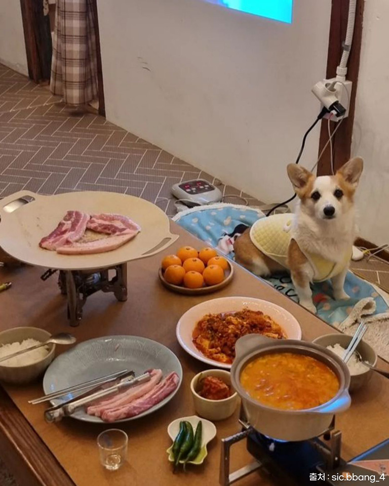 토르스테이