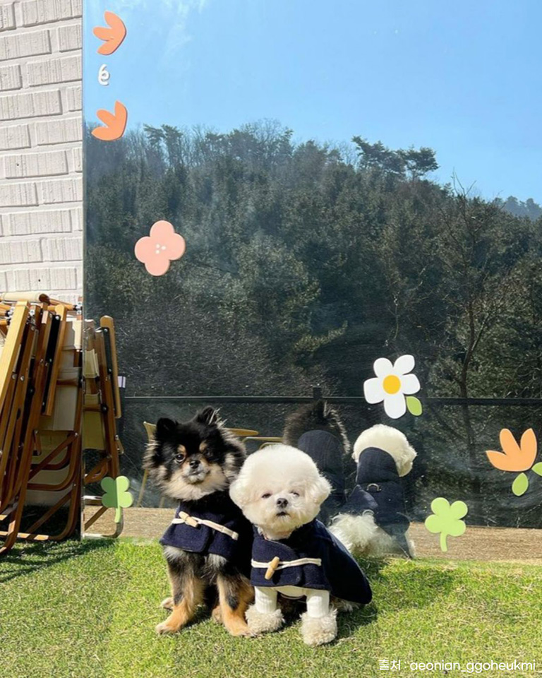 기지개