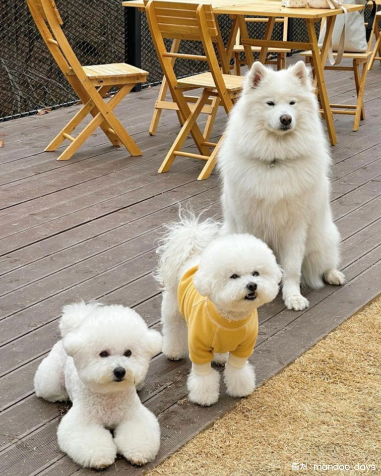 기지개