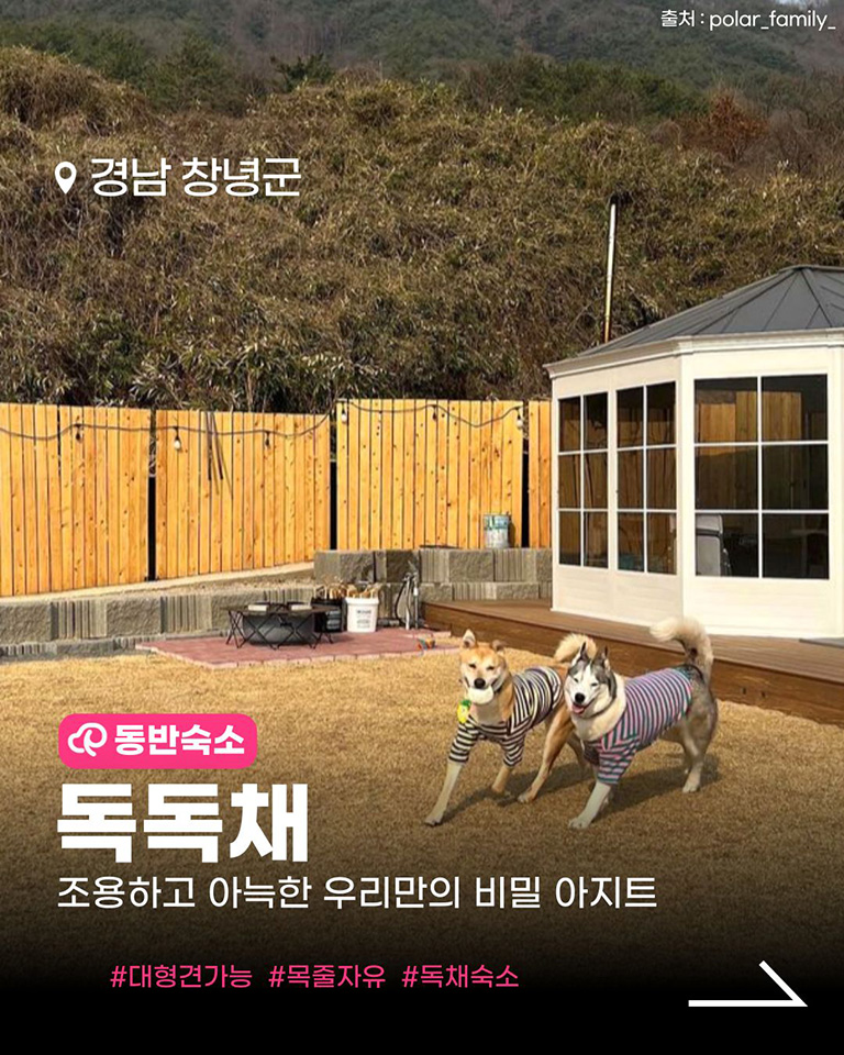 독독채