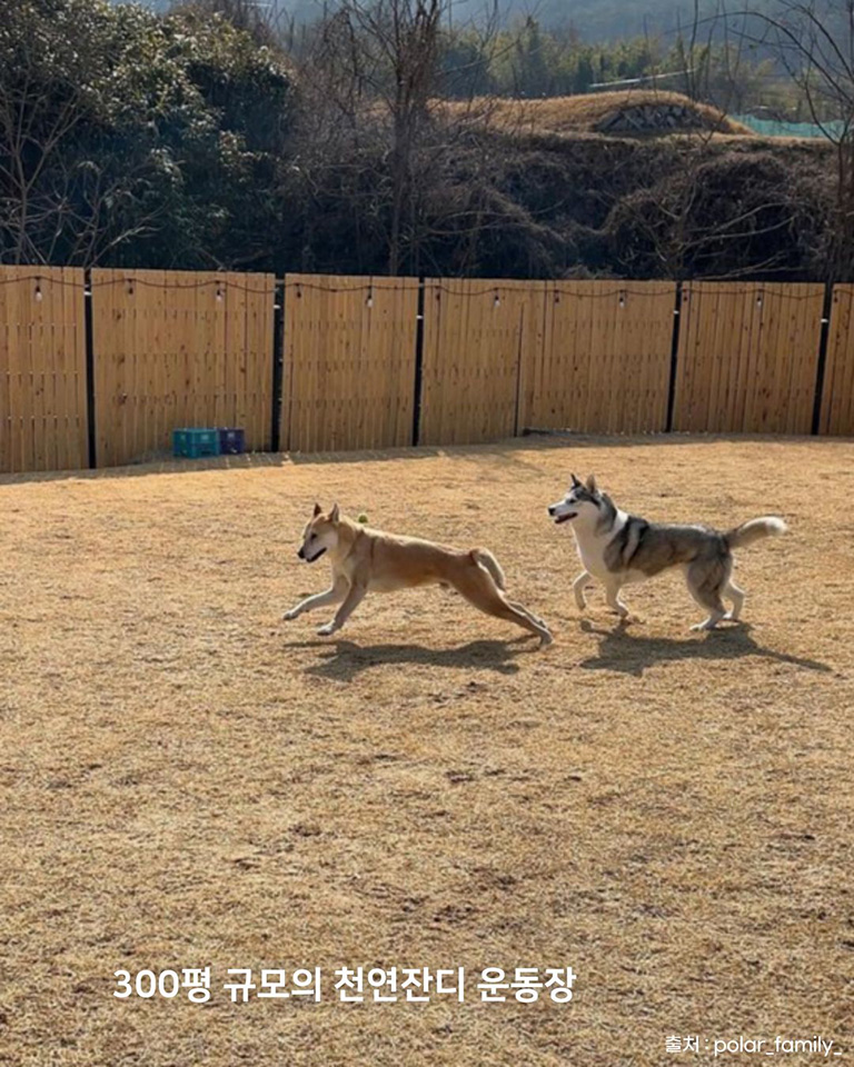 독독채