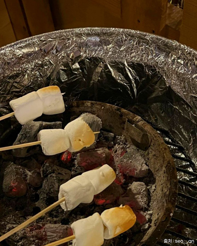 도치돌캠프