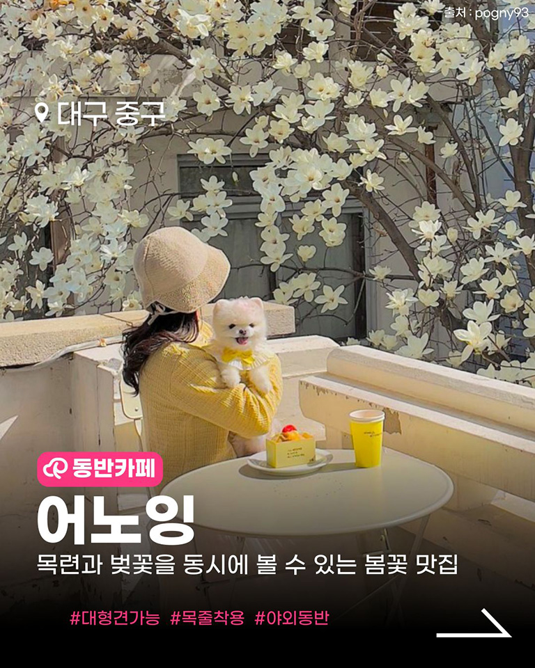 어노잉