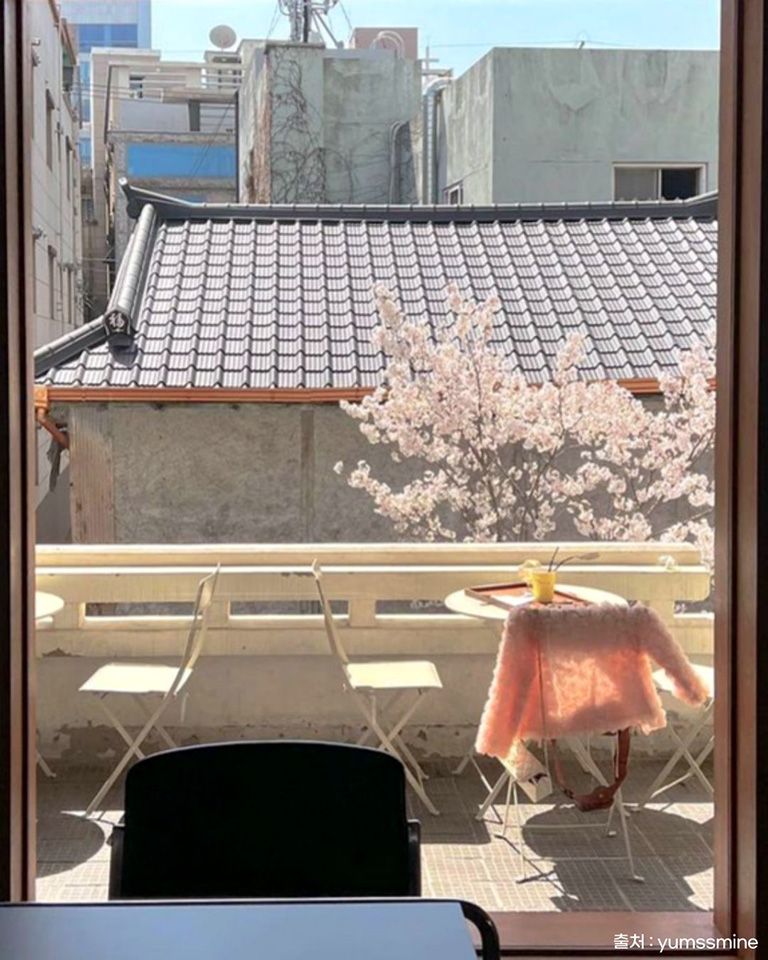 어노잉