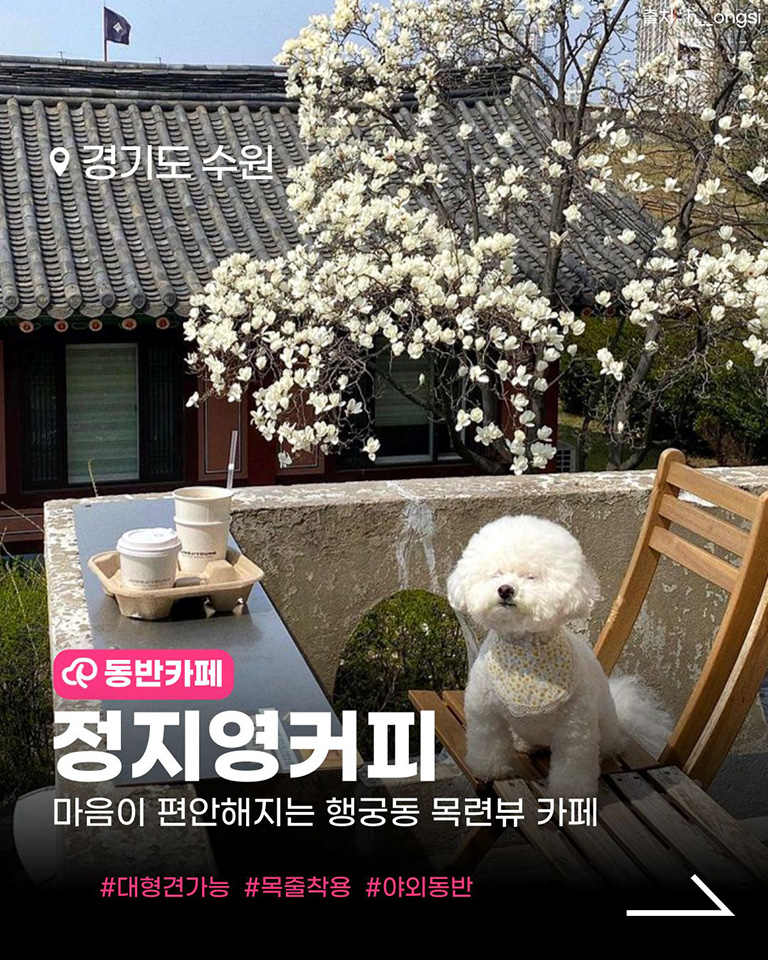 정지영커피로스터즈
