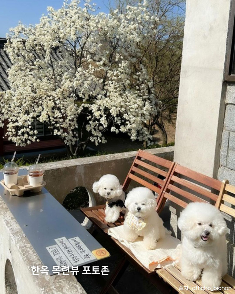 정지영커피로스터즈