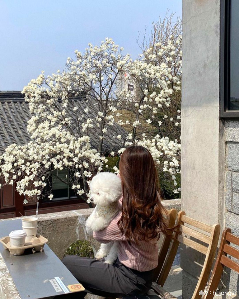 정지영커피로스터즈