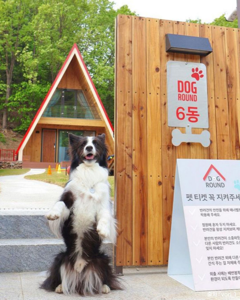 무아레도그라운드