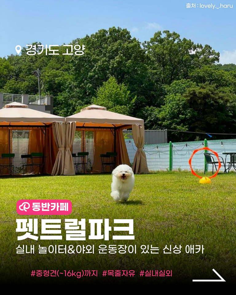펫트럴파크