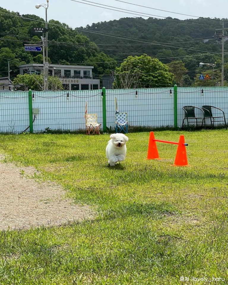펫트럴파크