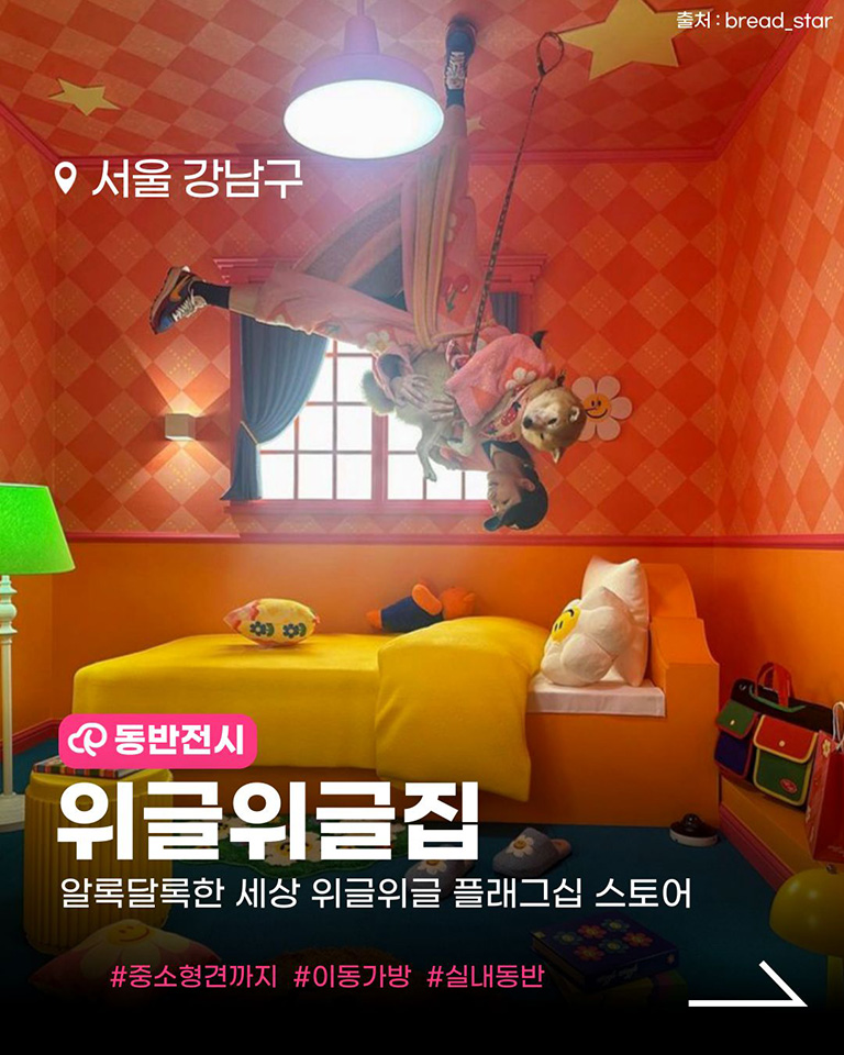 위글위글집 도산