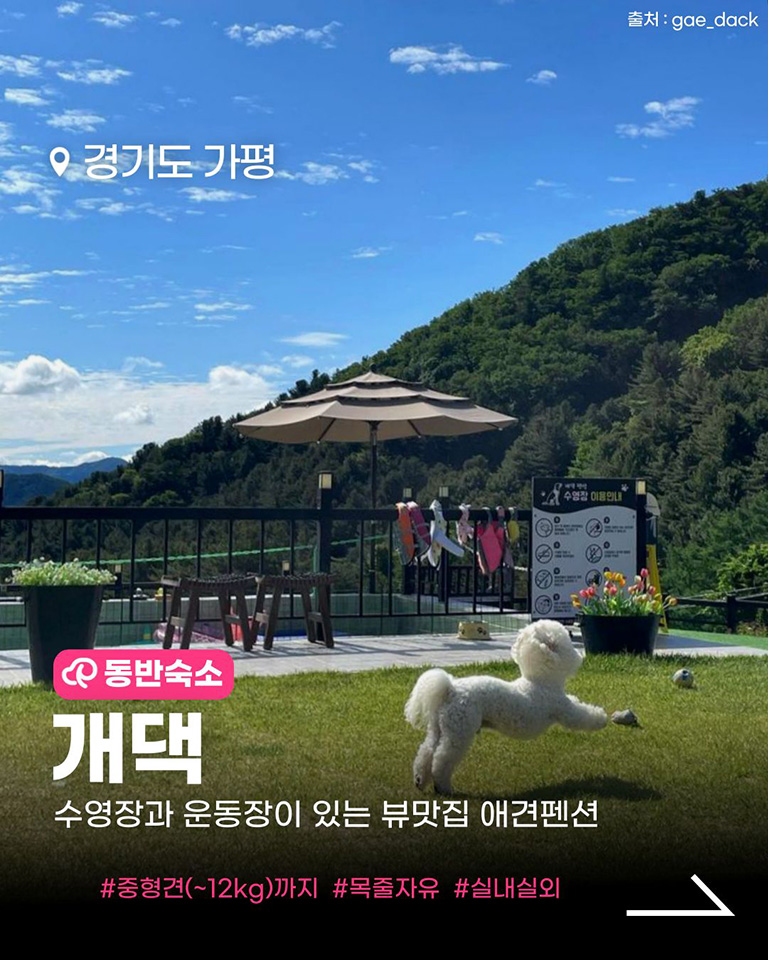 개댁