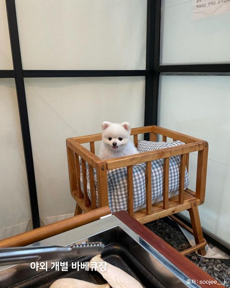 개댁