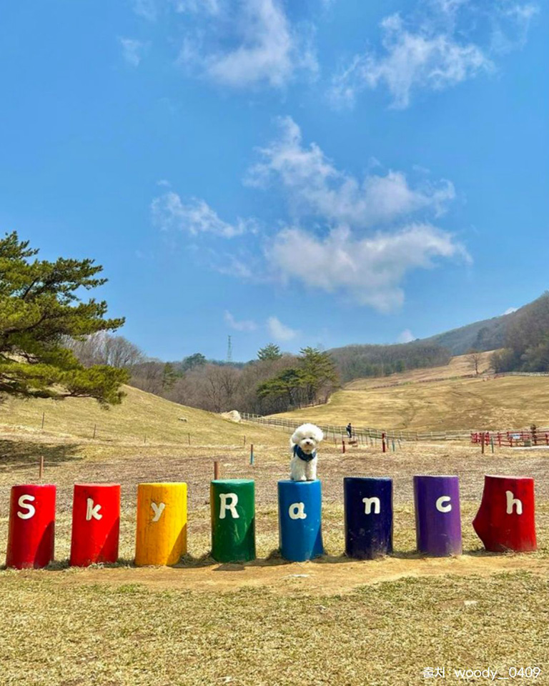 대관령 하늘목장