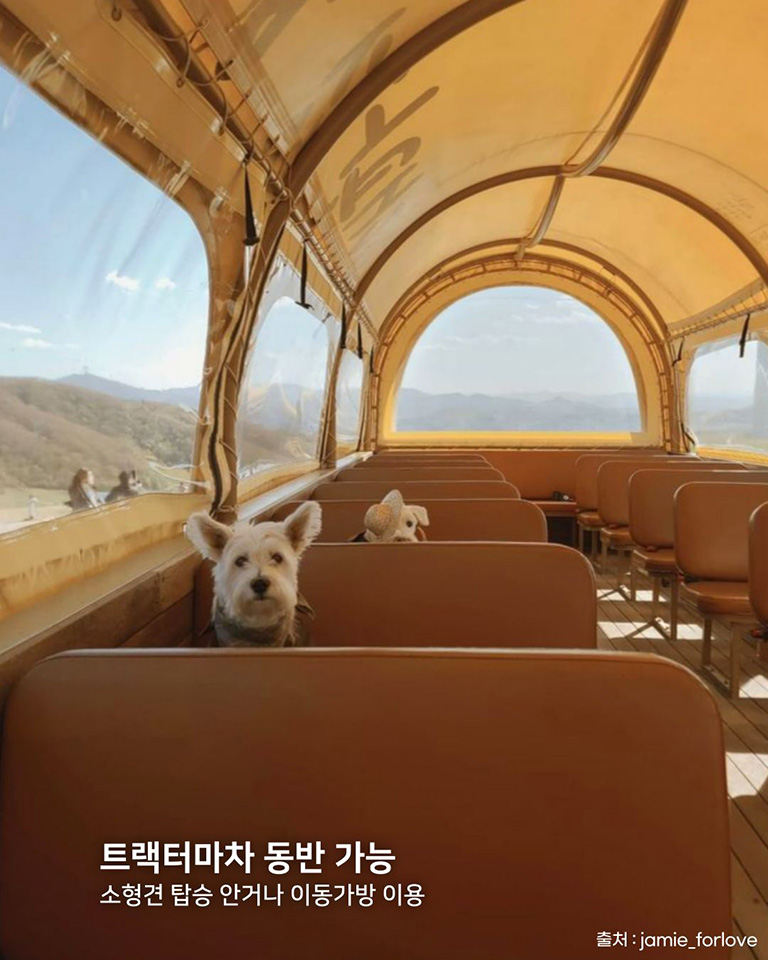 대관령 하늘목장