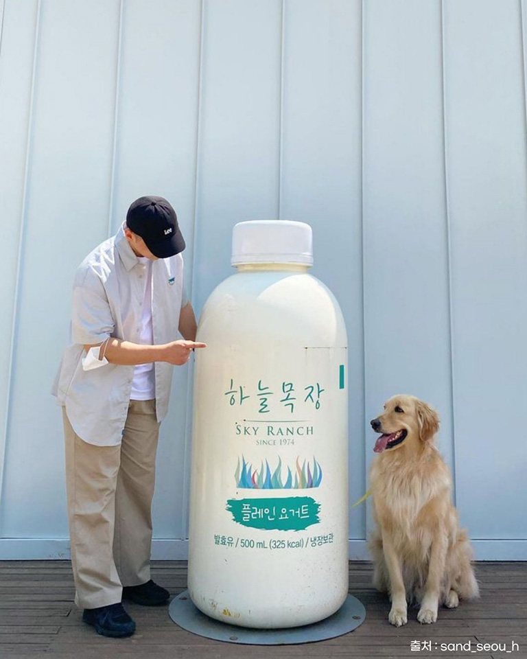 대관령 하늘목장