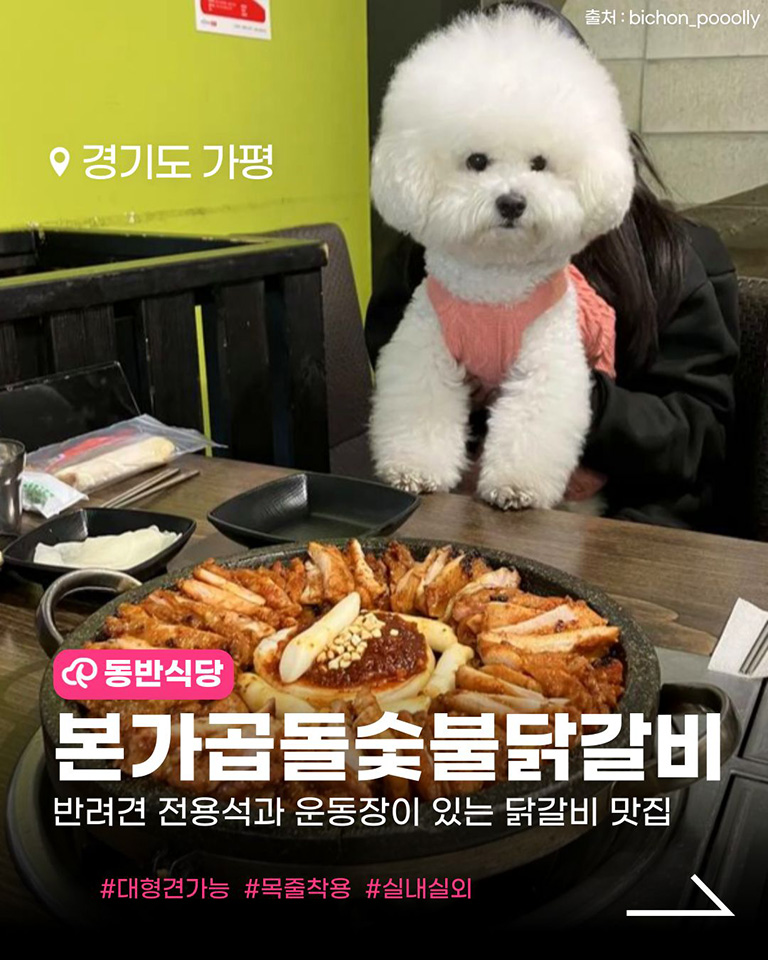 본가곱돌숯불닭갈비