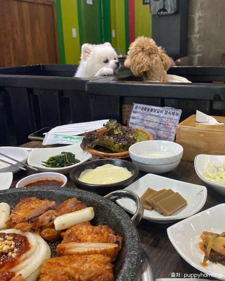 본가곱돌숯불닭갈비
