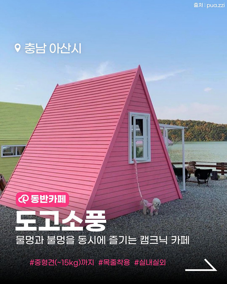 도고소풍