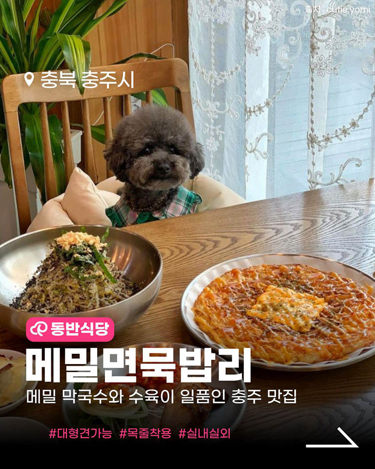 메밀면묵밥리