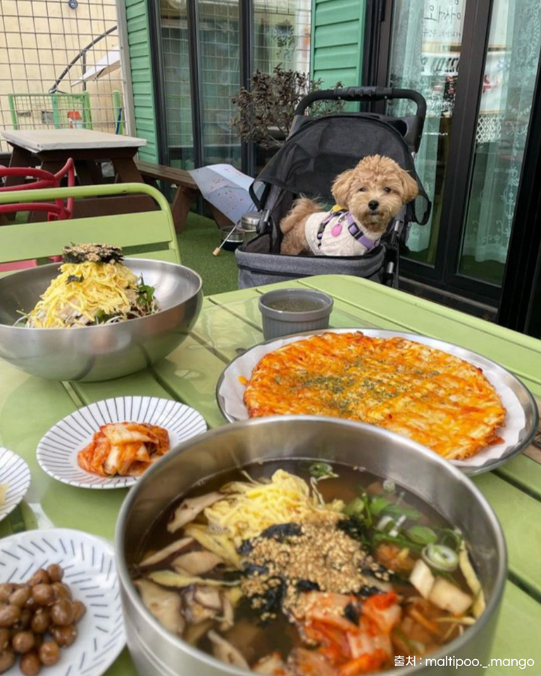 메밀면묵밥리
