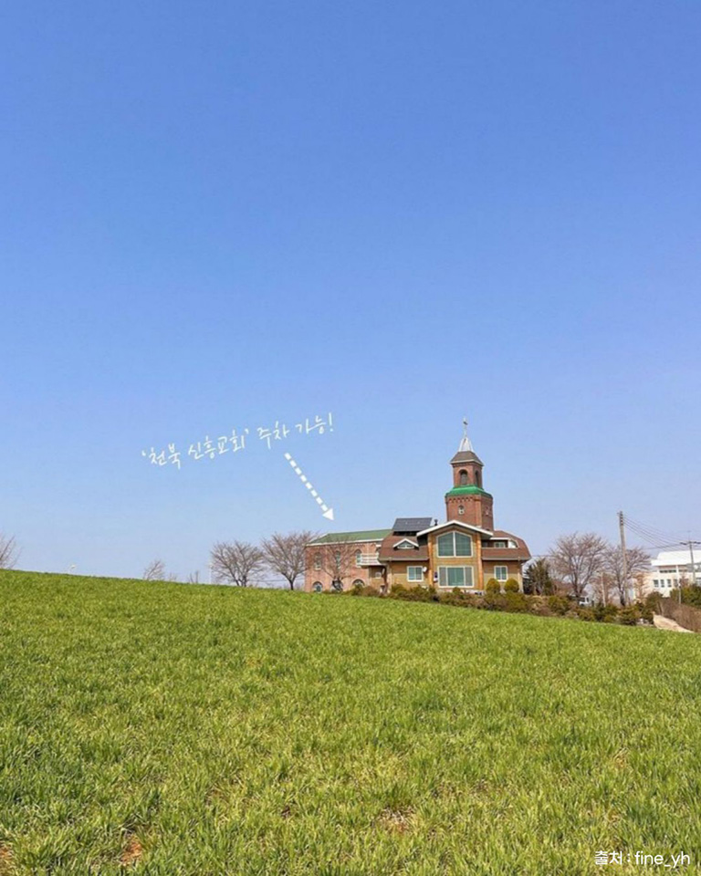 보령청보리밭