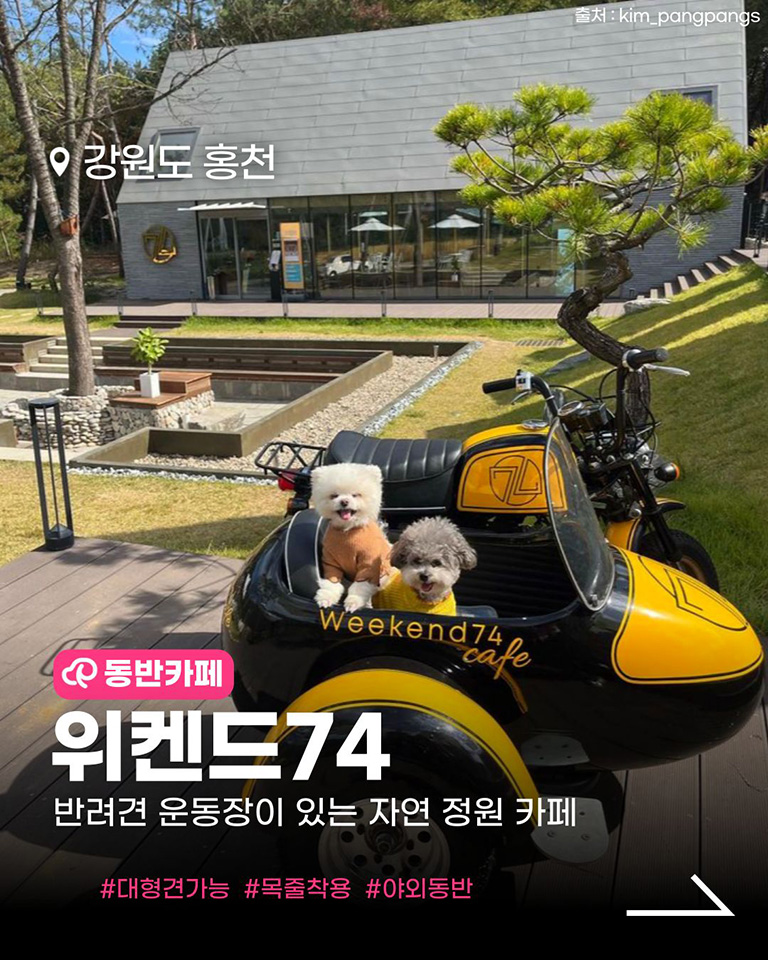 위켄드74