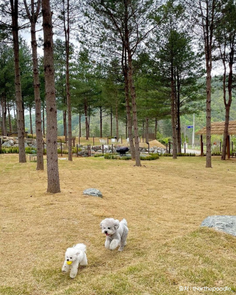 위켄드74