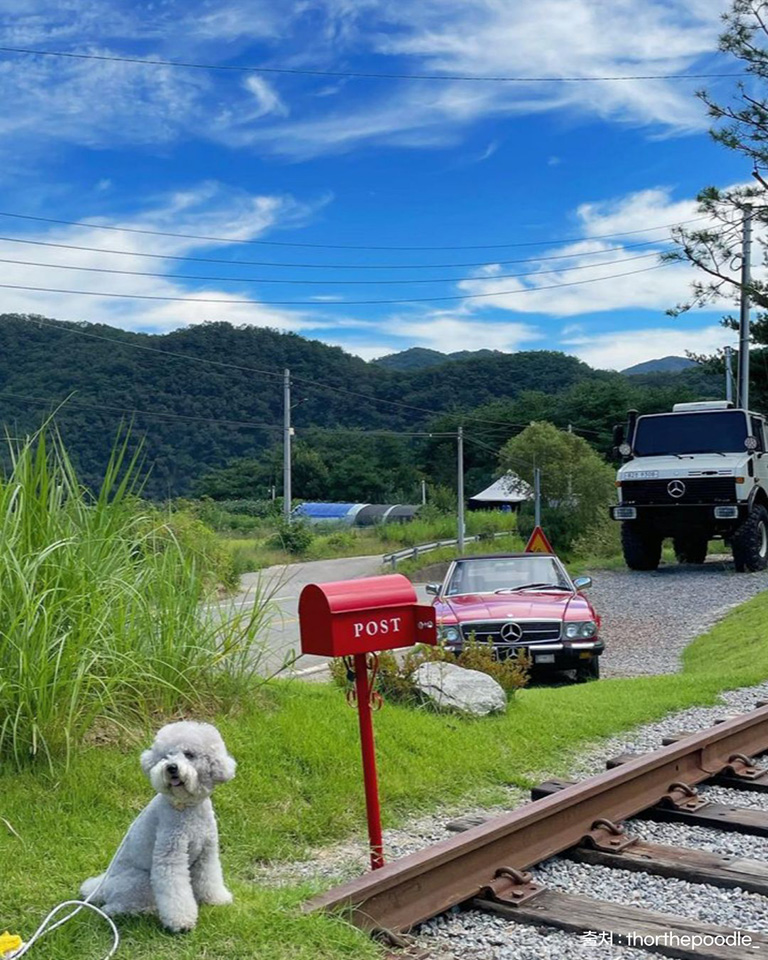 위켄드74