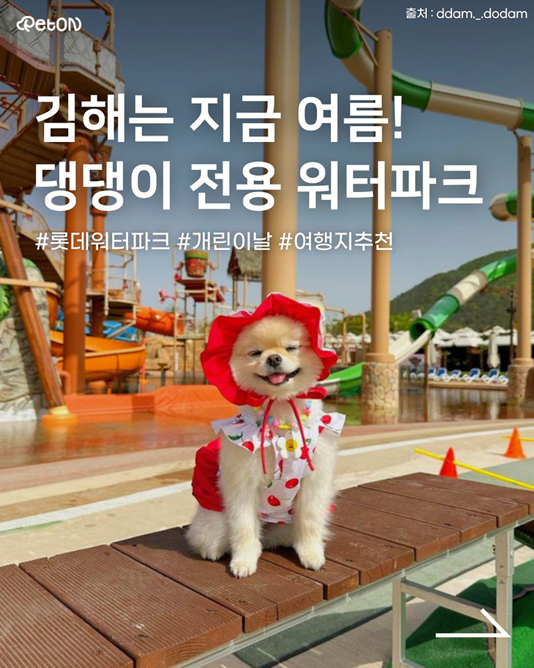 롯데워터파크 김해