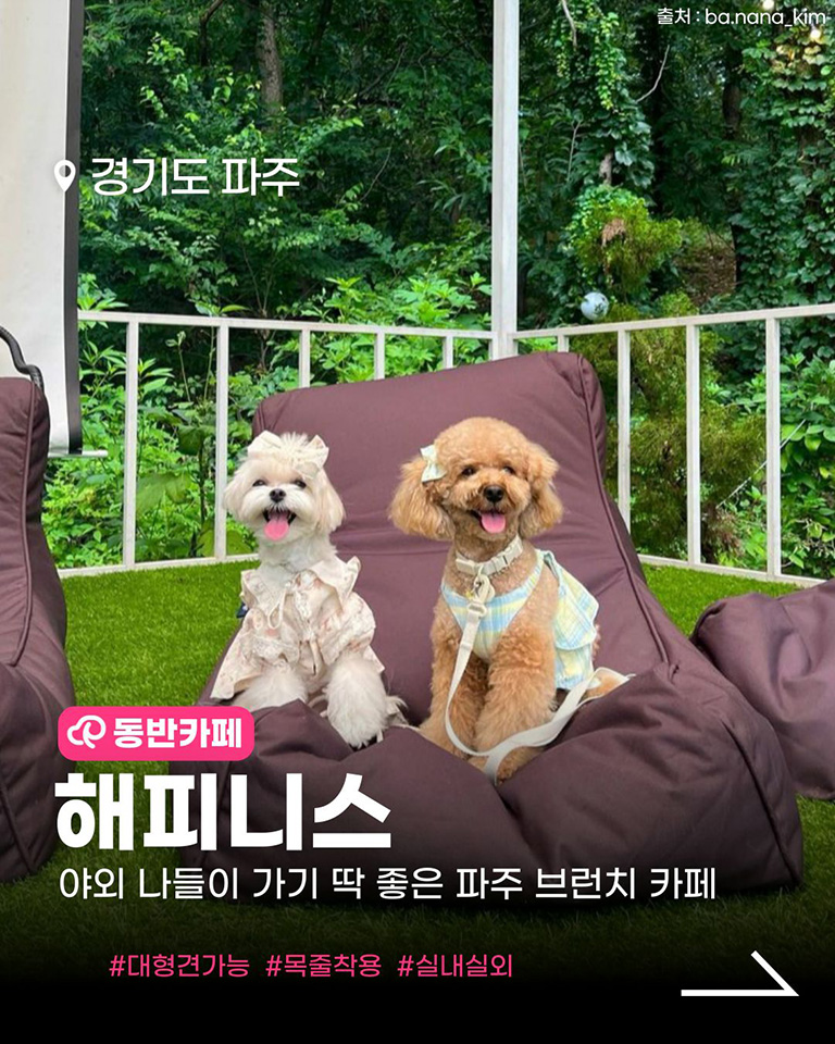 해피니스