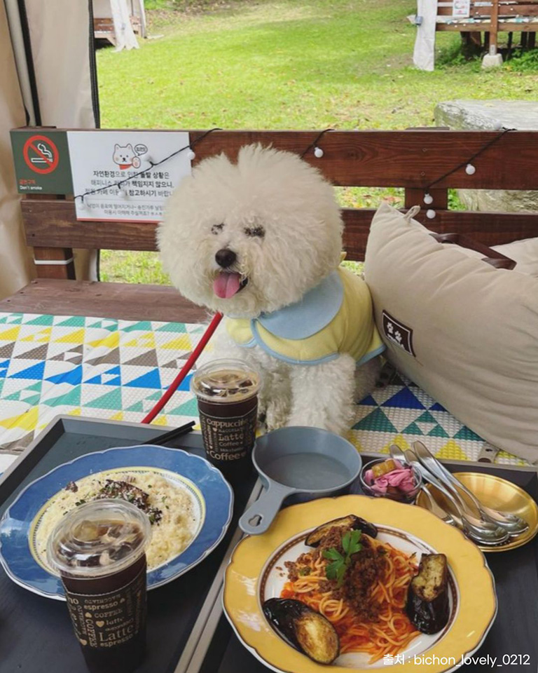 해피니스