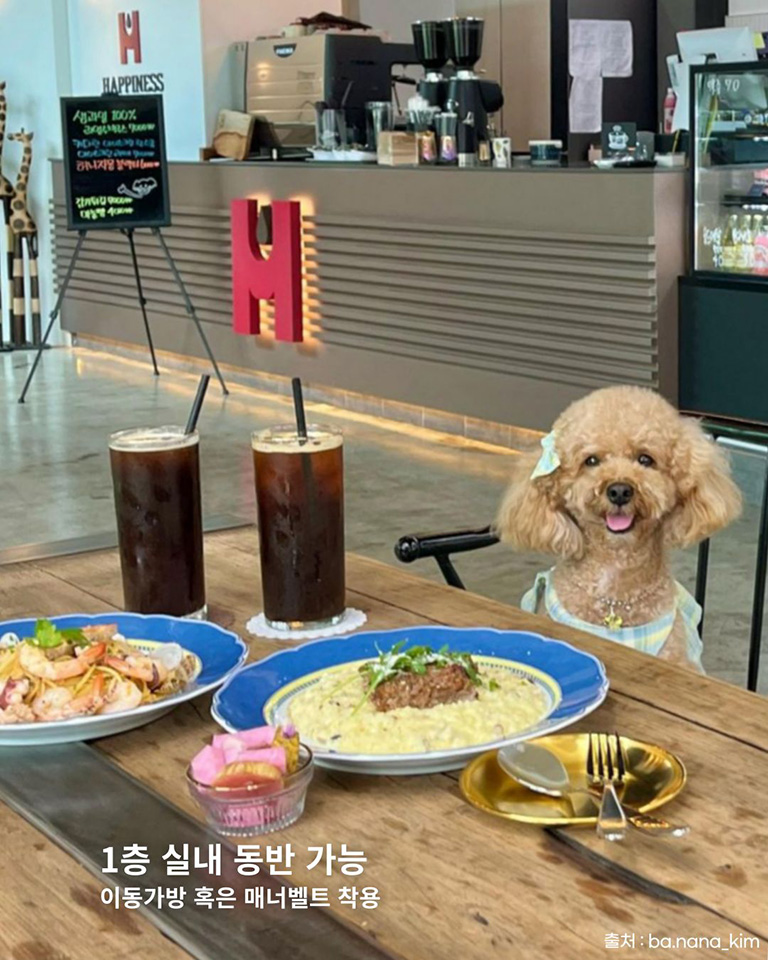 해피니스