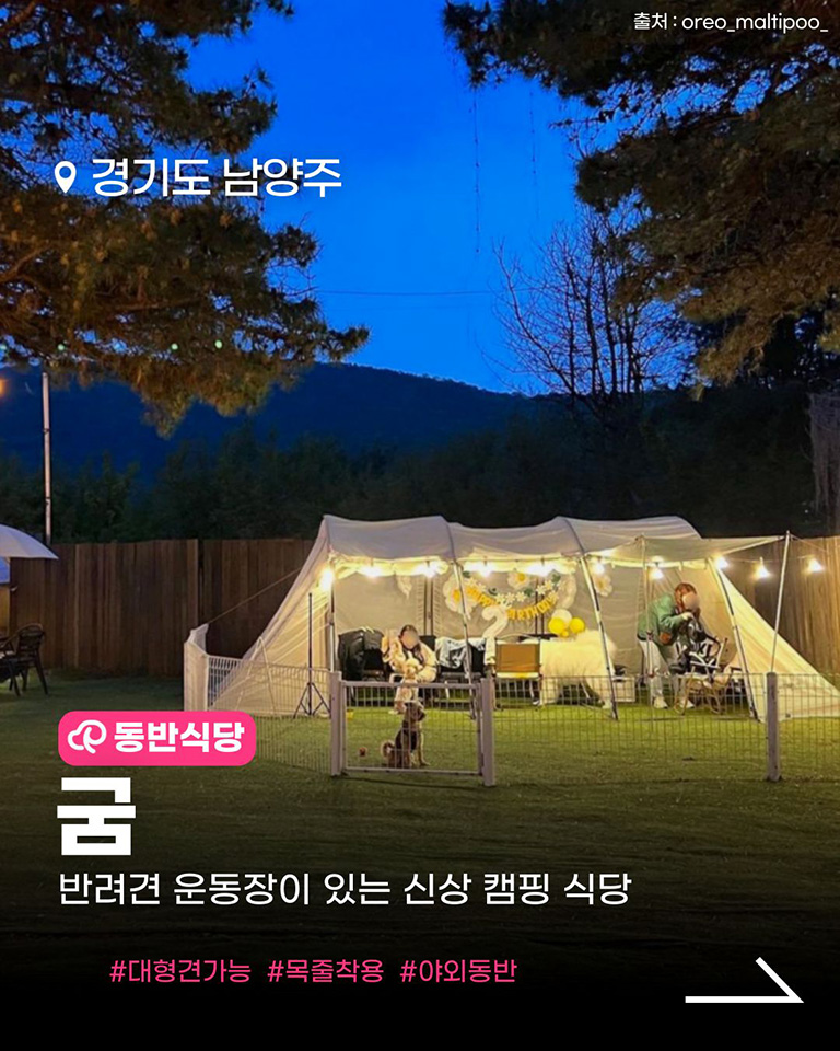 굼