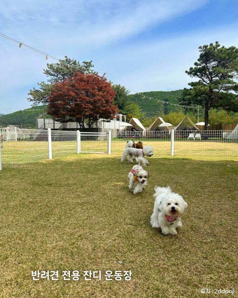 굼