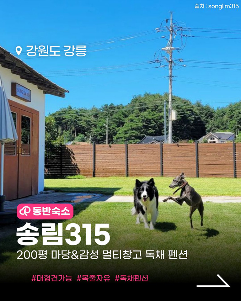 송림315
