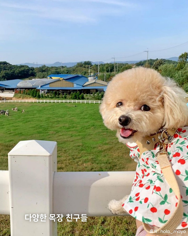 우유창고